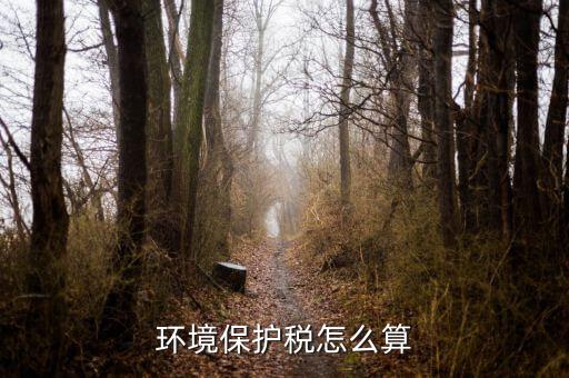 環(huán)保稅以什么為標(biāo)準(zhǔn)繳納，你認(rèn)為汽車環(huán)保稅應(yīng)該如何征收 具體點(diǎn) 謝謝