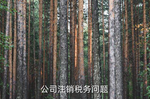 企業(yè)注銷為什么在地稅局非常簡單，公司注銷稅務(wù)問題