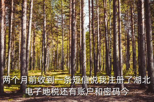 地稅什么時(shí)候會(huì)給電子稅務(wù)密碼，報(bào)地稅的時(shí)候登陸密碼每天有幾次輸入機(jī)會(huì)