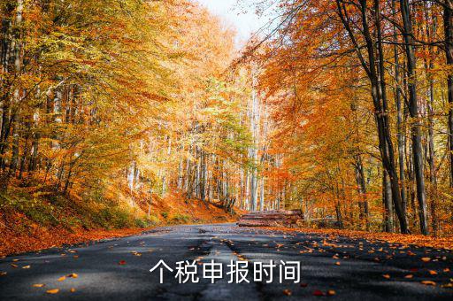 個人經(jīng)營所得稅什么時候申報，個人所得稅明細申報什么時候報