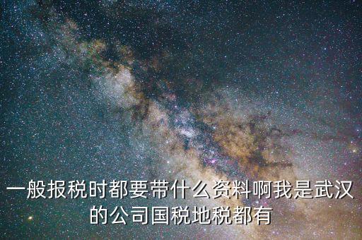 武漢國稅年報是什么，武漢市地稅國稅報稅截至日期分別是什么時候