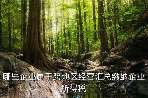 跨地區(qū)經(jīng)營匯總納稅指的是什么，哪些企業(yè)屬于跨地區(qū)經(jīng)營匯總繳納企業(yè)所得稅