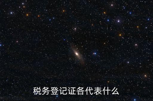 什么稅務(wù)登記證，什么是稅務(wù)登記證