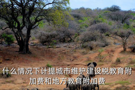什么情況下免交地方教育稅附加，什么情況下計提城市維護(hù)建設(shè)稅教育附加費(fèi)和地方教育附加費(fèi)