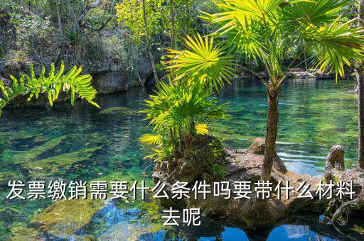 票證結報繳銷包括什么，去國稅局做稅票結報要帶哪些東西
