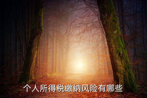 所得稅申報(bào)時(shí)有什么風(fēng)險(xiǎn)提示，個人所得稅繳納風(fēng)險(xiǎn)有哪些