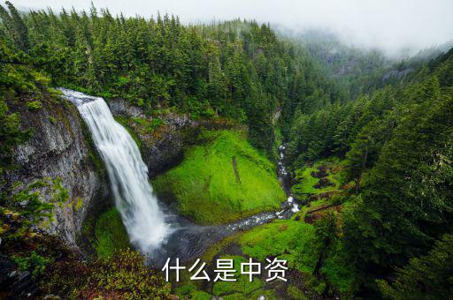 什么是境外中資控股居民，境外注冊中資控股居民企業(yè)和非境內(nèi)注冊居民企業(yè)區(qū)別