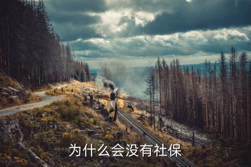 申報社保為什么沒有社保內(nèi)容，為什么會沒有社保