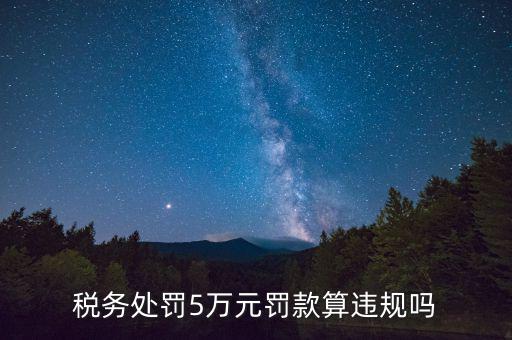 稅務(wù)重大違規(guī)是指什么，登錄國稅國稅的違章信息是什么意思