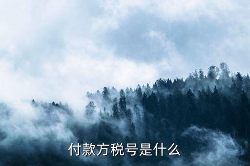 付款人稅號是什么，轉(zhuǎn)賬稅號指的是什么