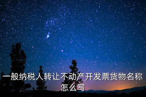 銷(xiāo)售不動(dòng)產(chǎn)開(kāi)票名稱(chēng)寫(xiě)什么，銷(xiāo)售不動(dòng)產(chǎn)增值稅普通發(fā)票怎樣填寫(xiě)