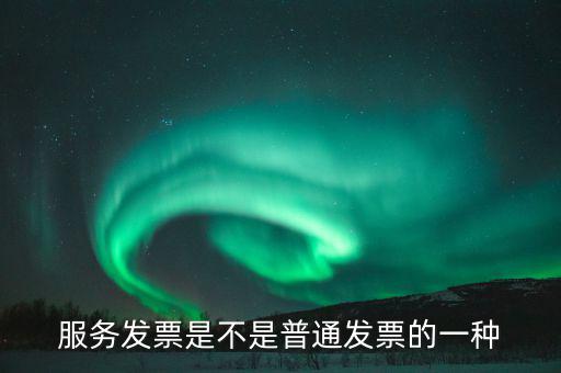 服務(wù)發(fā)票屬于什么發(fā)票，編制書(shū)刊服務(wù)費(fèi)的發(fā)票屬于什么類