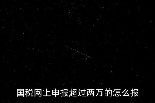 國稅網(wǎng)報(bào)入口是什么，怎樣才能進(jìn)入小規(guī)模納稅人增值稅網(wǎng)上申報(bào)系統(tǒng)