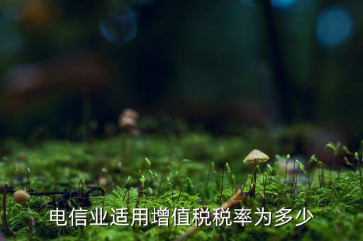 電信服務(wù)什么時候繳納增值稅，電信業(yè)適用增值稅稅率為多少