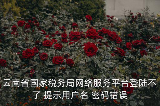 云南稅控服務(wù)平臺的網(wǎng)址是什么，云南國稅開票系統(tǒng)網(wǎng)址