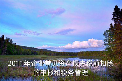 什么是資產(chǎn)損失屬于清單申報(bào)，資產(chǎn)損失稅前扣除什么是清單申報(bào)專(zhuān)項(xiàng)申報(bào)