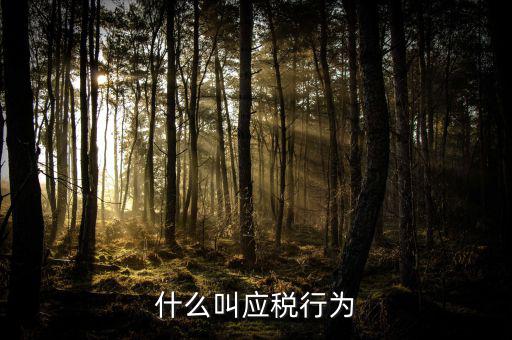 什么為應(yīng)稅污染，什么是污染