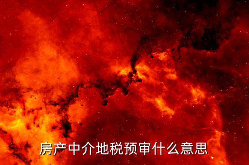 地稅審批是什么意思，稅務(wù)局非行政許可審批是什么意思