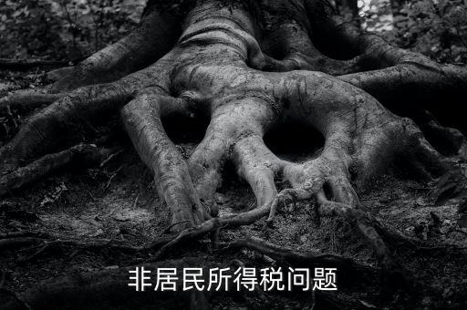 有什么是非居民企業(yè)，個(gè)私企業(yè)的范圍除了個(gè)體戶還包括哪些性質(zhì)的企業(yè)