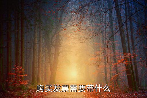 長春購置發(fā)票需要什么資料，初次購買發(fā)票要什么資料