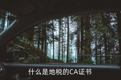 什么叫地稅CA用戶(hù)，什么是CA用戶(hù)
