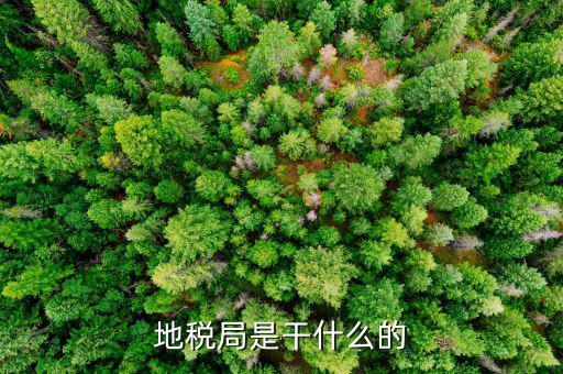 地稅主要負責(zé)什么工作總結(jié)，地稅局一般做什么工作啊