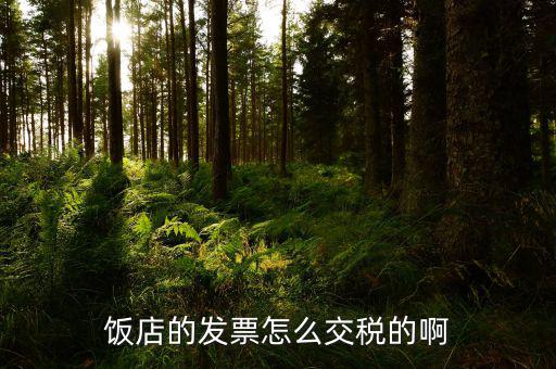 酒店預(yù)收如何交增值稅，旅館業(yè)應(yīng)該怎樣繳納增值稅