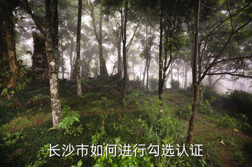 如何進(jìn)行網(wǎng)上勾選，對(duì)方開出增值稅專用發(fā)票多長時(shí)間可以進(jìn)行網(wǎng)上勾選認(rèn)證
