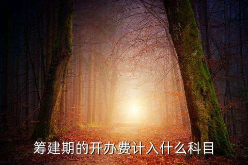 公司籌建期的費用計入什么科目，籌建期的開辦費計入什么科目