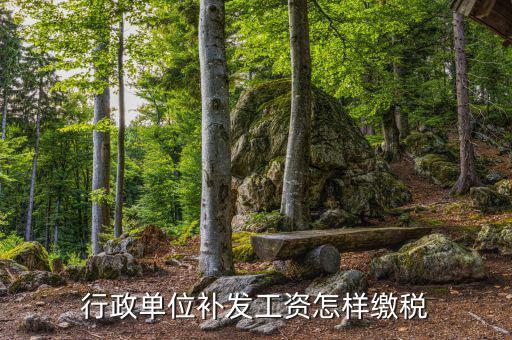 補(bǔ)發(fā)工資如何計稅，我16個月未領(lǐng)工資現(xiàn)在一次性補(bǔ)發(fā)個稅怎么繳納