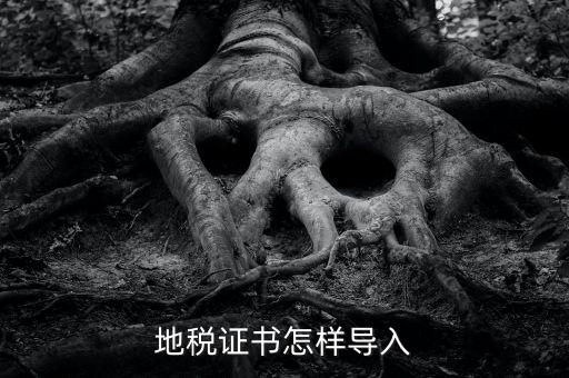 如何導(dǎo)入地稅證書(shū)，地稅證書(shū)怎樣導(dǎo)入