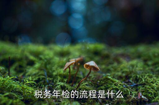稅務(wù)如何年檢，稅務(wù)年檢的流程是什么