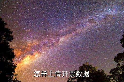 如何上傳進(jìn)項發(fā)票明細(xì)，怎樣上傳開票數(shù)據(jù)
