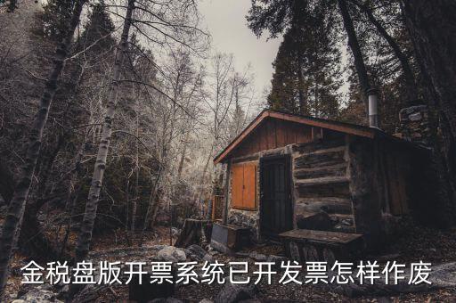 金稅盤(pán)版開(kāi)票系統(tǒng)已開(kāi)發(fā)票怎樣作廢