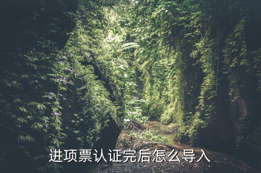 抵扣票如何認(rèn)證系統(tǒng)下載，增值稅發(fā)票怎樣自己認(rèn)證需要下載什么軟件什么步驟呢