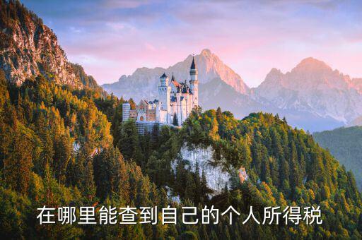 如何查看自己交稅，怎么查自己交了多少稅