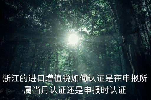 浙江國稅進口發(fā)票如何認(rèn)證，浙江的進口增值稅如何認(rèn)證是在申報所屬當(dāng)月認(rèn)證還是申報時認(rèn)證