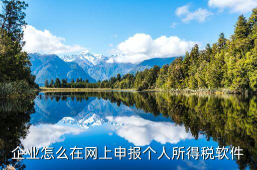 如何網(wǎng)上申報個人所得稅，如何網(wǎng)上申報個人所的稅
