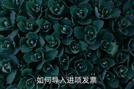 如何導(dǎo)入發(fā)票，如何導(dǎo)入進(jìn)項(xiàng)發(fā)票