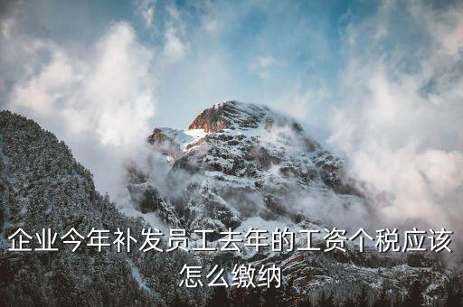 補(bǔ)發(fā)一年工資如何算稅，補(bǔ)發(fā)員工以前年度工資如何繳納個稅