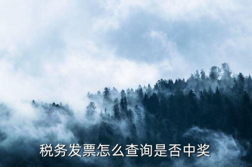 如何查地稅發(fā)票中獎(jiǎng)，稅務(wù)發(fā)票怎么查詢(xún)是否中獎(jiǎng)