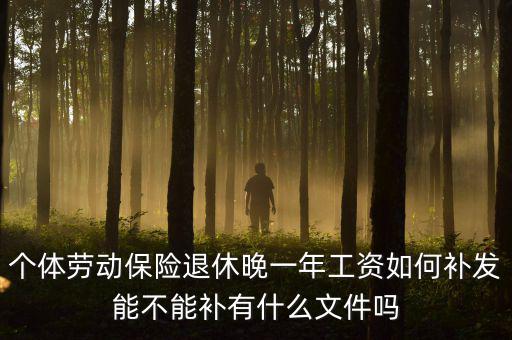 如何補(bǔ)發(fā)工資，個(gè)體勞動(dòng)保險(xiǎn)退休晚一年工資如何補(bǔ)發(fā)能不能補(bǔ)有什么文件嗎