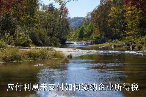 應(yīng)付未付的專利權(quán)如何計(jì)算企業(yè)所得稅，企業(yè)所得稅的計(jì)算方法