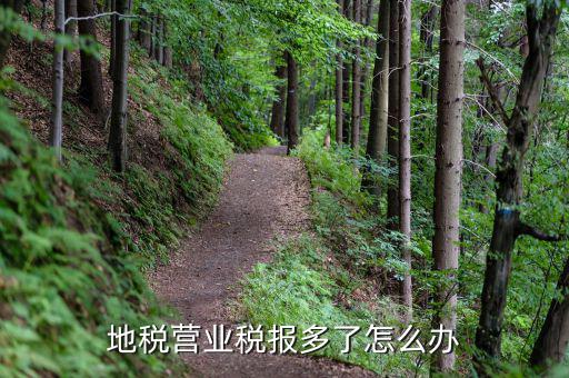 營業(yè)稅多交了如何處理，營業(yè)稅改征增值稅后多交的營業(yè)稅怎么辦交增值稅了不繳納營業(yè)