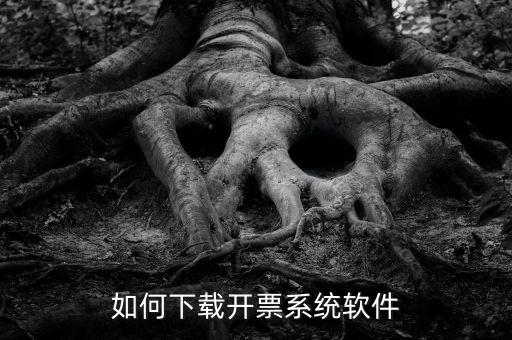 發(fā)票軟件如何下載軟件，怎么安裝稅控發(fā)票開票軟件v20