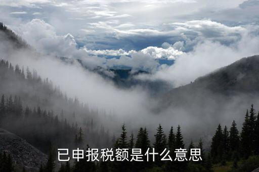 武漢稅務年報是什么意思，報告年度所得稅什么意思
