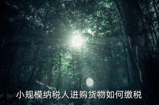 小規(guī)模納稅人如何交稅，小規(guī)模納稅人進(jìn)購貨物如何繳稅