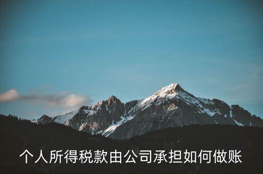 個(gè)稅公司承擔(dān) 如何報(bào)銷，個(gè)人所得稅款由公司承擔(dān)如何做賬