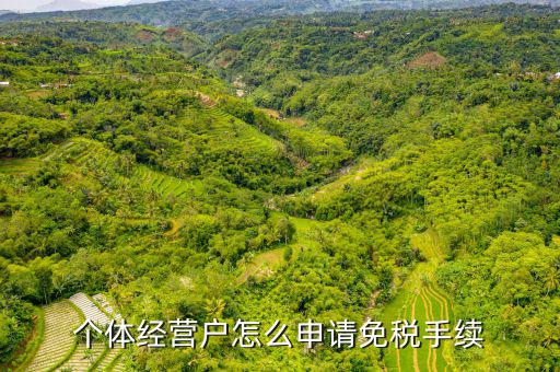 如何申請個體工商戶免稅，個體經(jīng)營戶怎么申請免稅手續(xù)
