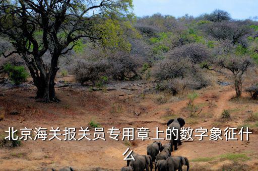 報關專用章數(shù)字是什么意思，報關專用章上面有一串數(shù)字是什么意思